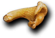 Ayder Keyf - Restaurant