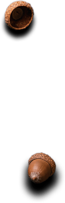 Ayder Keyf - Restaurant