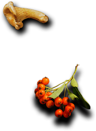 Ayder Keyf - Restaurant